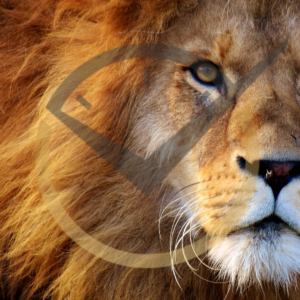 Leia mais sobre o artigo Receita Federal divulga as regras para a entrega da Declaração do Imposto de Renda da Pessoa Física 2022